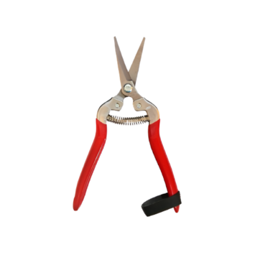 TIJERA VENDIMIA PUNTA CURVA 7 1/2" RAYUN