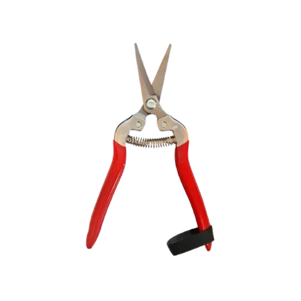 TIJERA VENDIMIA PUNTA CURVA 7 1/2" RAYUN