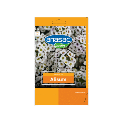 Semilla Alisum (1 Gr) Anasac