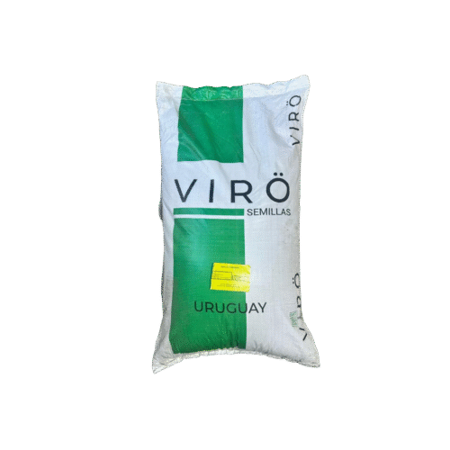 Semilla Trebol Enano (25 kg)