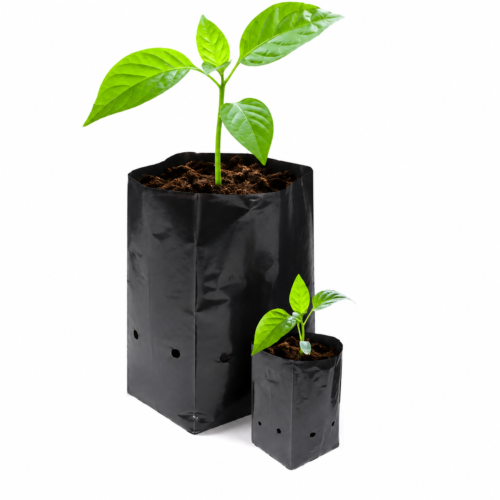 BOLSA DE PLANTA NEGRO 1 K